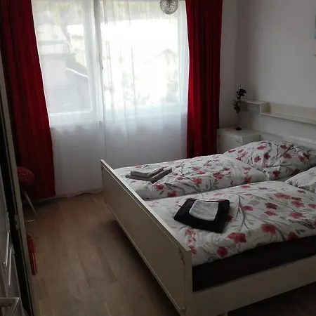 Ferienwohnung Bergwerkstrasse דירה *